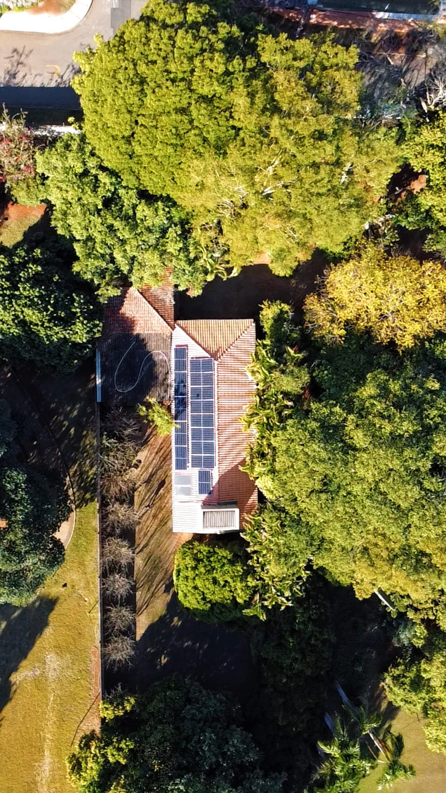 {"data":{},"exportType":"image_export","source_type":"vicut","tiktok_developers_3p_anchor_params":"{"picture_template_id":"","client_key":"aw889s25wozf8s7e","source_type":"vicut","capability_name":"retouch_edit_tool"}","editType":"image_edit","pictureId":"DAE99A04-1C70-41C1-BEFE-B9ED68171C4C"}